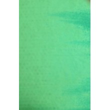Light grass green Opaque Sheet 50cm x 50cm (216)